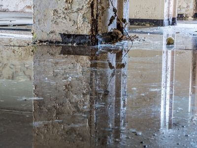 About HydroNest Co - water damage restoration experts in Escondido
